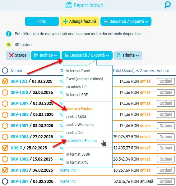 Cum descarc mai multe facturi? - pasul 5