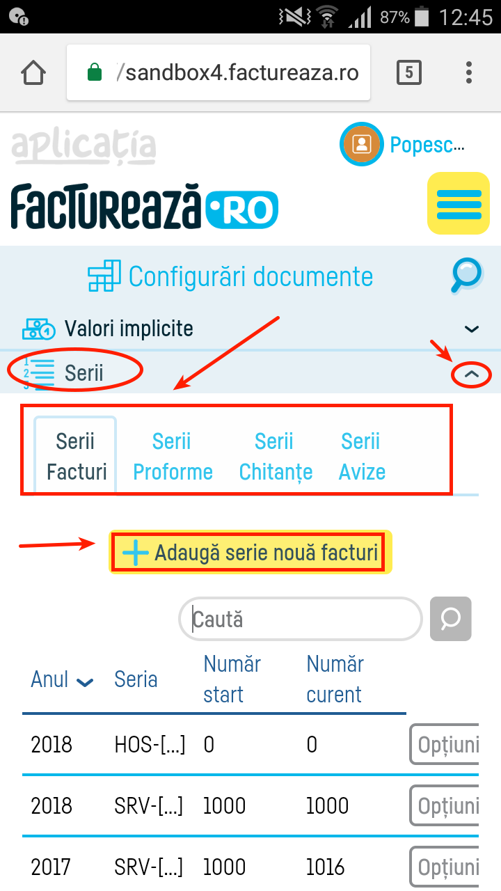 Cum adaug o serie de facturi? - pasul 2