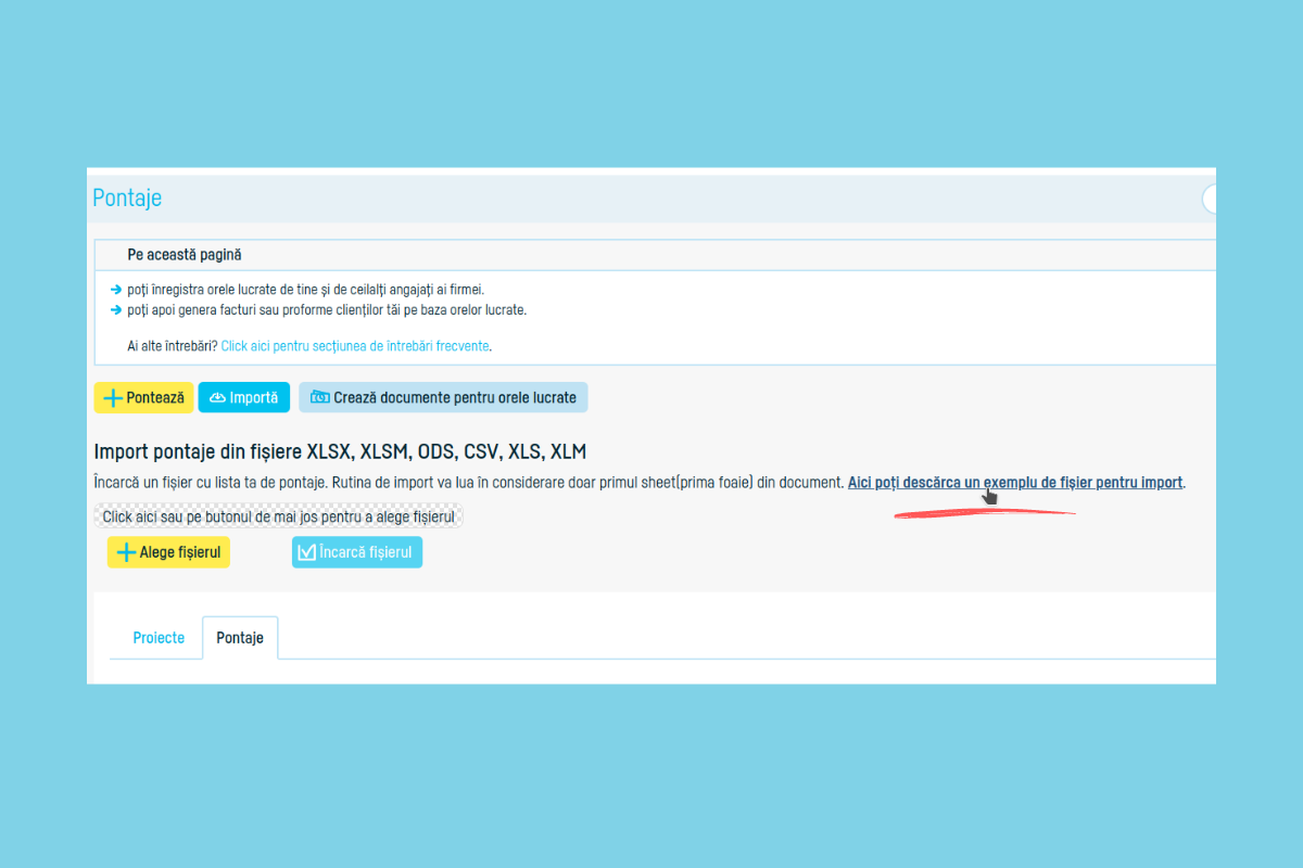 Cum generezi automat pontaje cu un import din Excel - pasul 3
