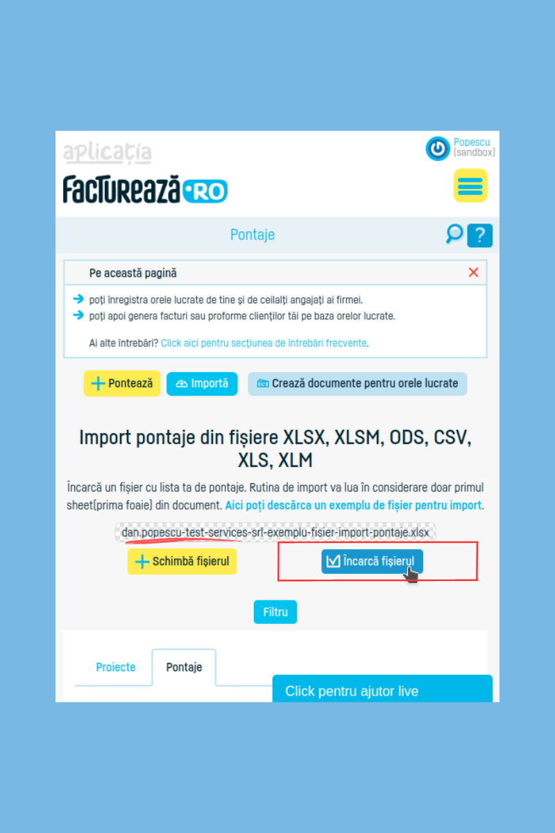 Cum generezi automat pontaje cu un import din Excel - pasul 5