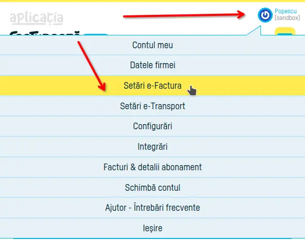 Convertirea automată a valorilor în lei pentru eFactura - pasul 1