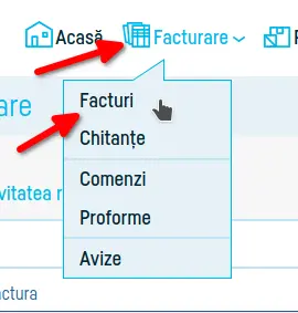 Cum verifici transmiterea la eFactura - pasul 3